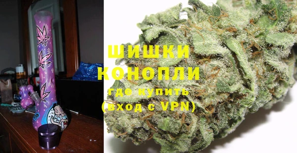 PSILOCYBIN Надым